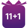 11+1
