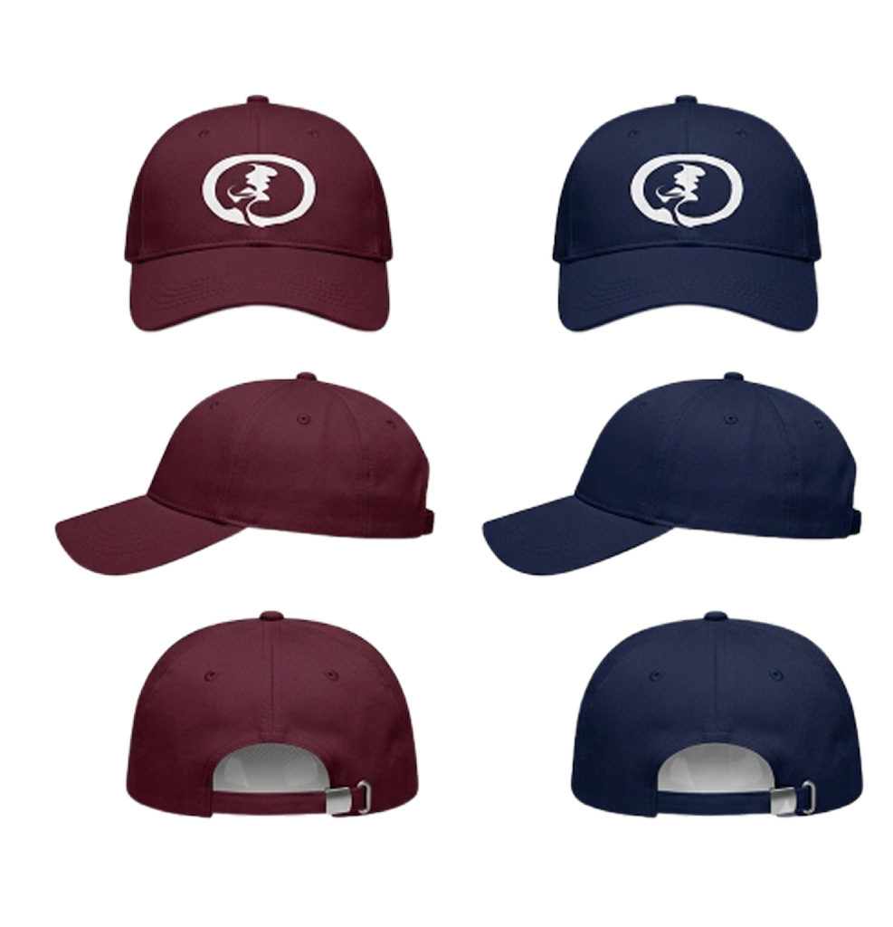 ARA Snapback Cap (лимитэд)