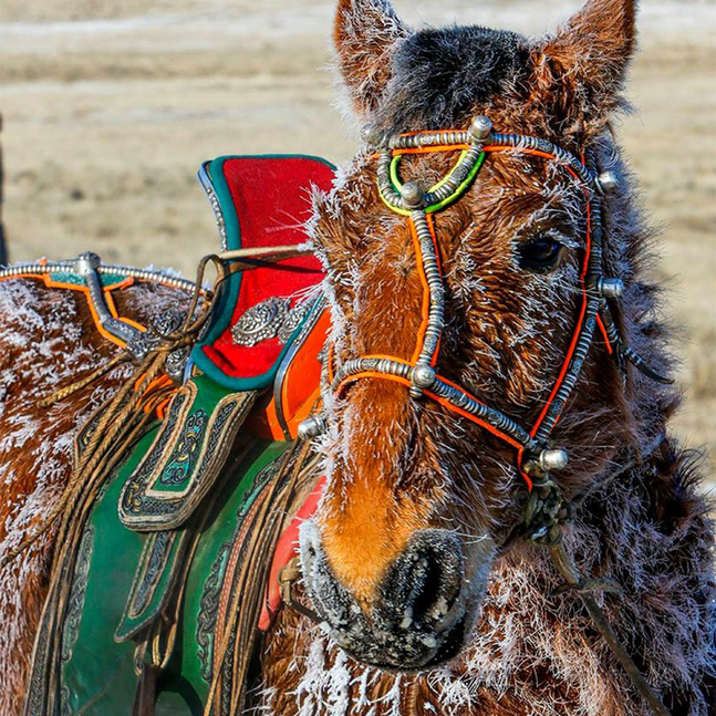 Сүйкімді қыз жалаңаш секс