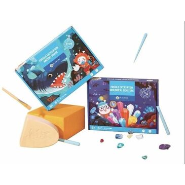 Fossils Excavation - Geological Gemstone