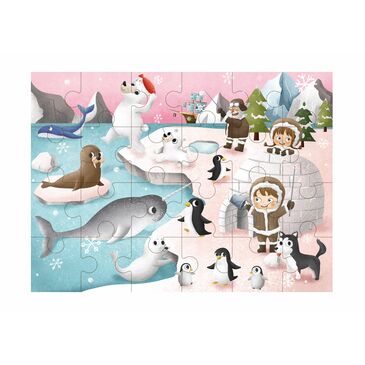 ARCTIC EXPLORATION PUZZLE