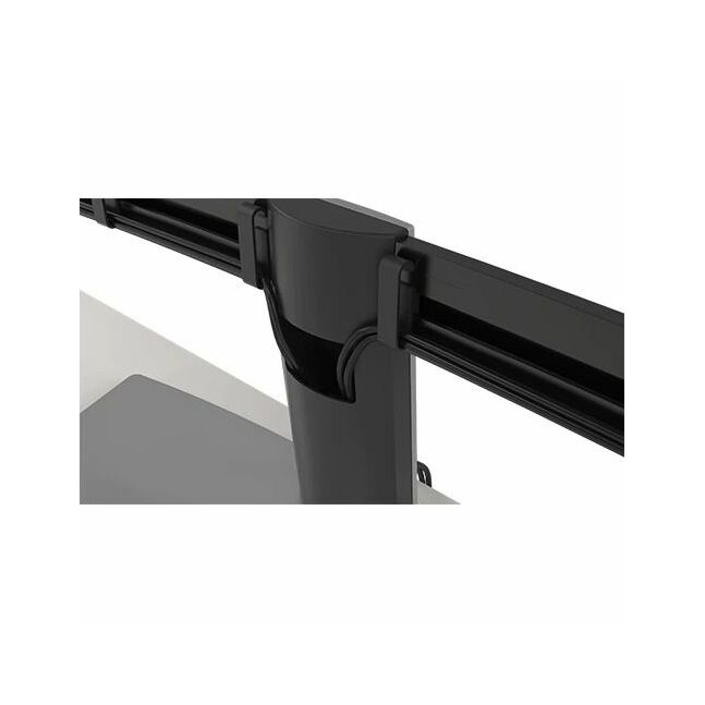 Dell Dual Monitor Stand