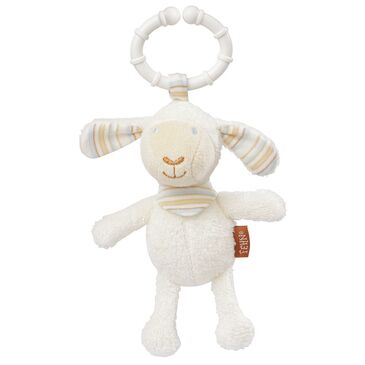 Mini sheep with ring