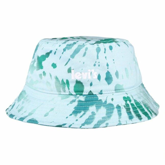 POSTER LOGO CAP OV