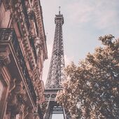 ADOPT Paris Rêverie 50мл EAU DE PARFUM