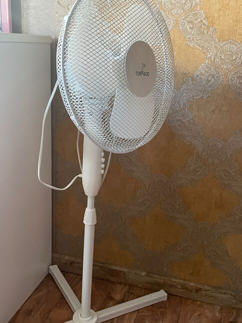 Сэнс хямд зарна