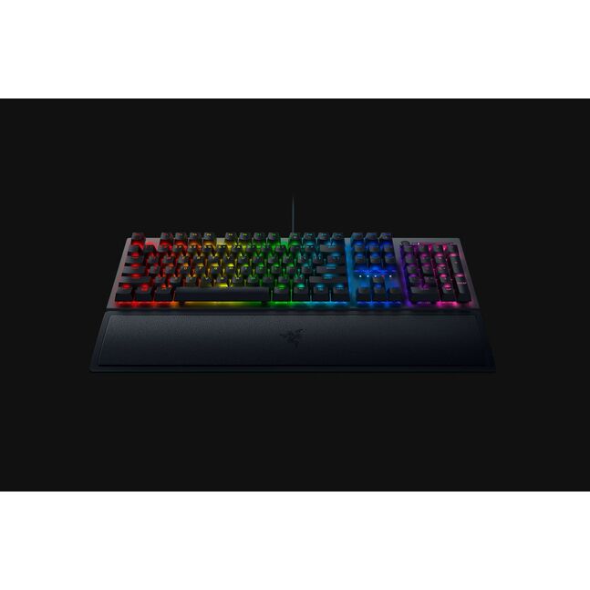 Razer BlackWidow V3 Mechanical Gaming Keyboard (Green Switch)