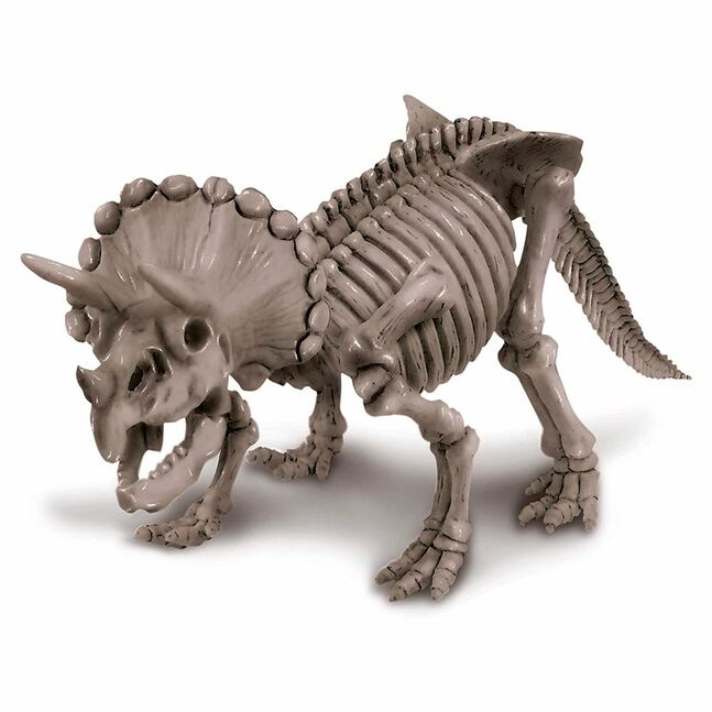03228 Dig a Dinosaur Skeleton/Triceratops