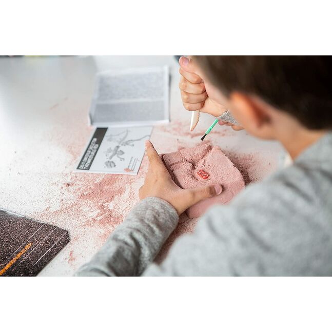 03221 Dig a Dinosaur Skeleton/T-Rex