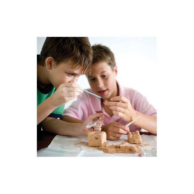 05538 4M STEAM  Earth Science