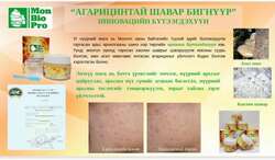 "aгарицинтай шавар бигнүүр" батга, нүхжилтийн эсрэг нүүрний маск 
