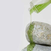 CELIMAX The Real Noni Energy Ampoule