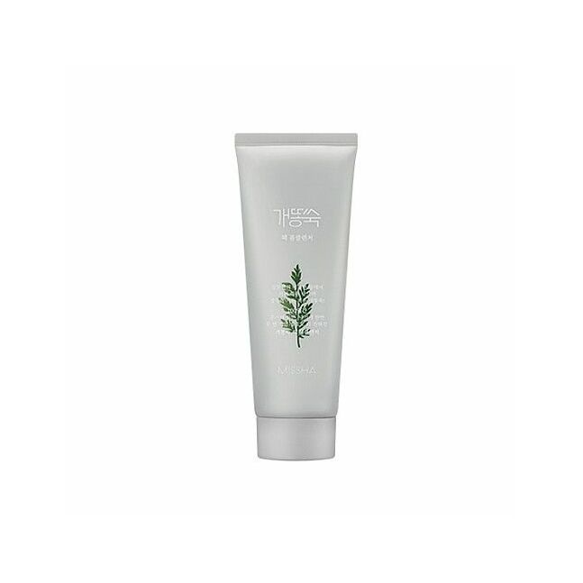 Artemisia Pack Foam Cleanser
