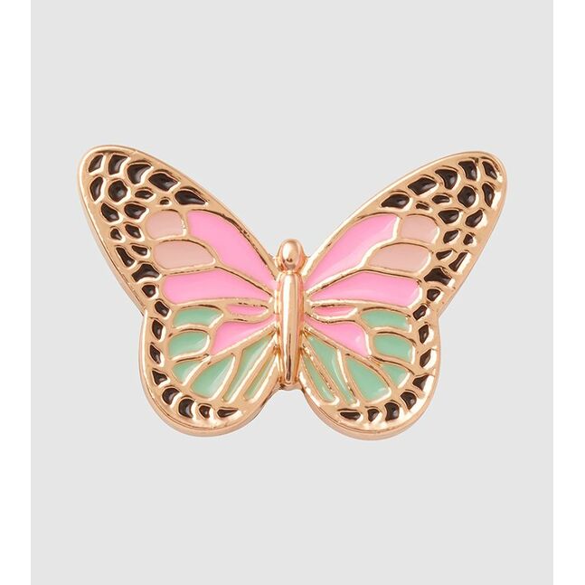 Elevated Colorful Butterfly