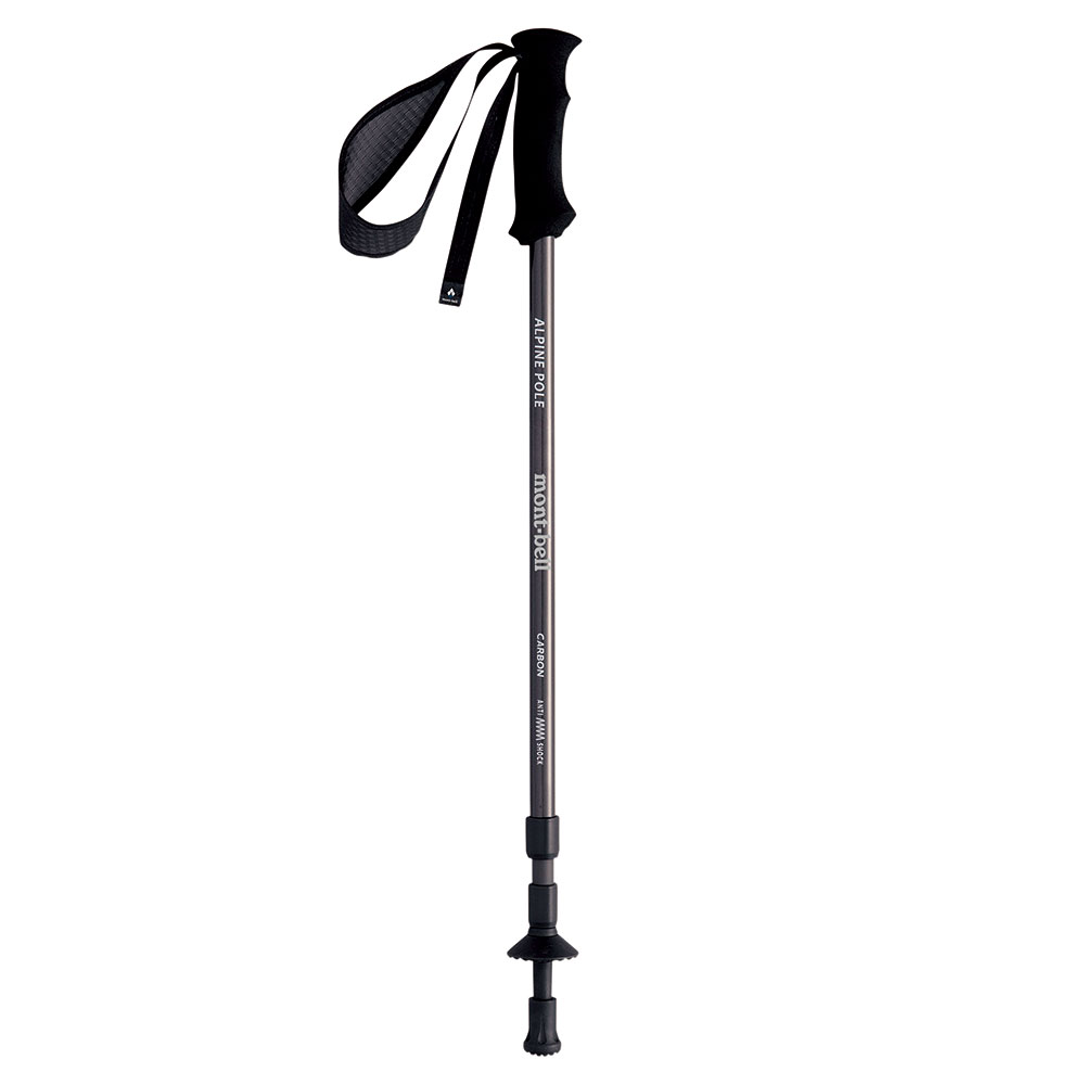ALPINE CARBON POLE ANTI SHOCK