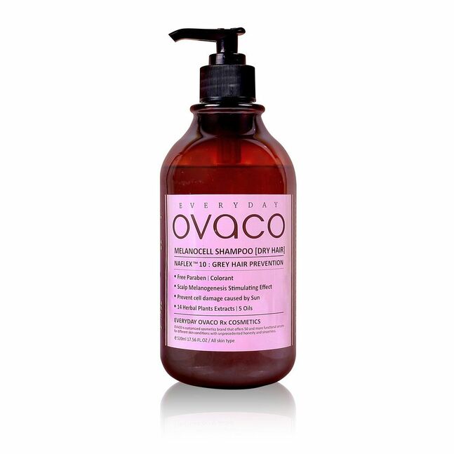 SHAMPOO (DRY HAIR)