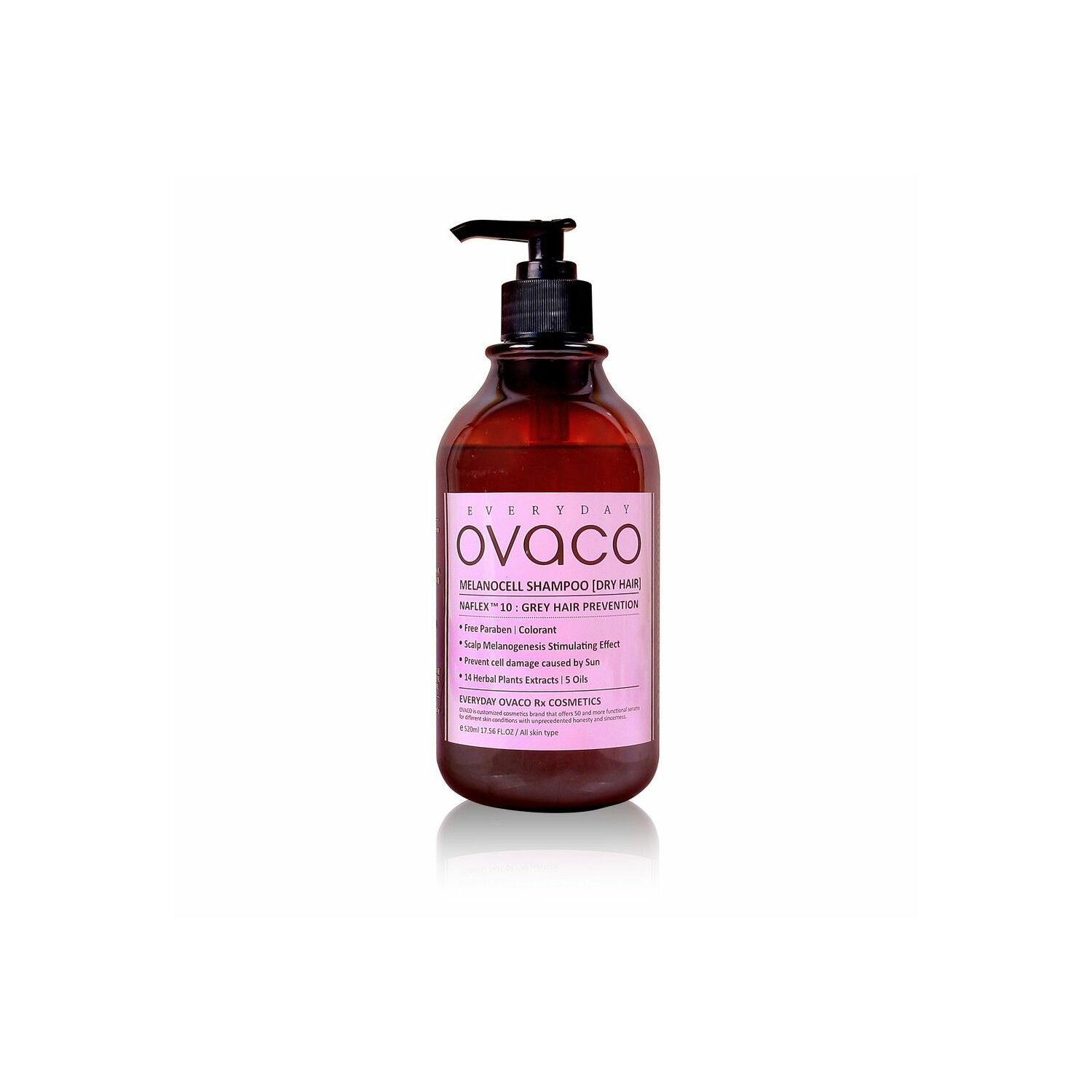 SHAMPOO (DRY HAIR)