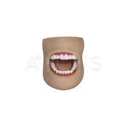 shop.aplus.mn