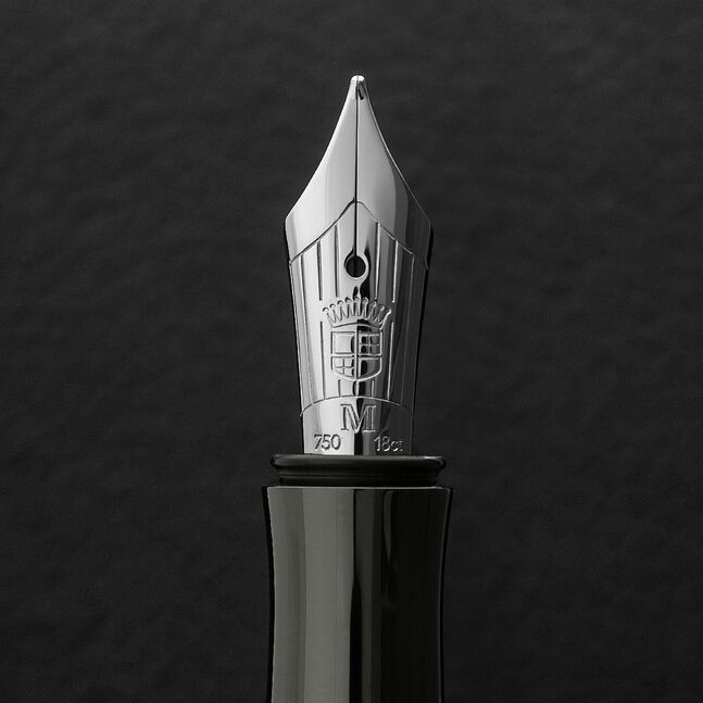 Fountain pen Classic Macassar F