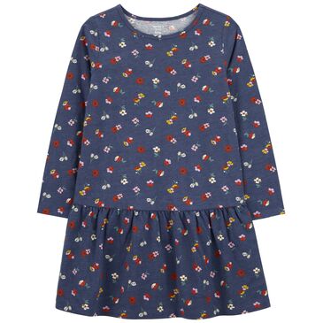 Даашинз хөх