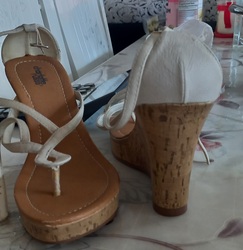 Бүх төрлийн гутал