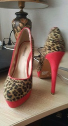 Бүх төрлийн гутал