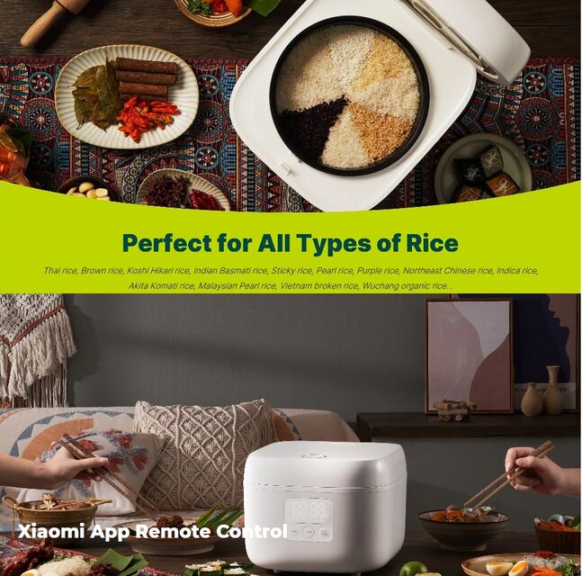 Joyami 4L Smart Rice Cooker, White