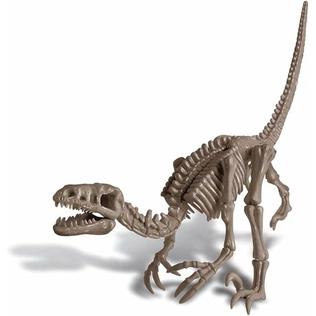 13234 4М Dig a Dino Skeleton/Velociraptor