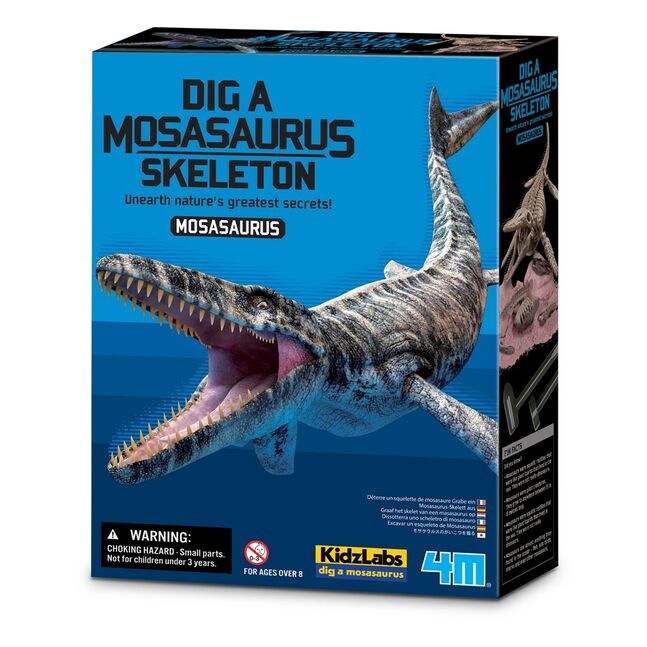 3457 4М Dig A Mosasaurus Skeleton