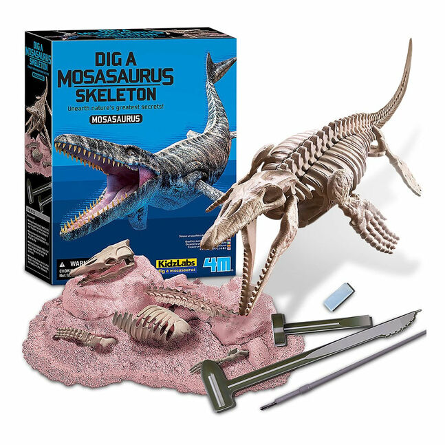 3457 4М Dig A Mosasaurus Skeleton