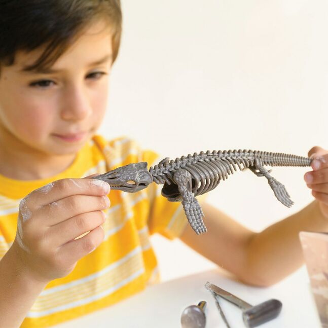 3457 4М Dig A Mosasaurus Skeleton