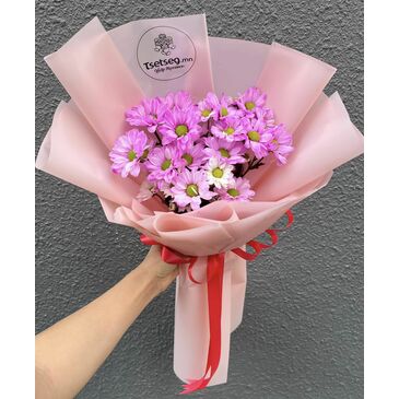 Ромашка цэцгийн цоморлиг