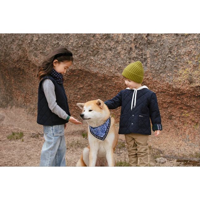 Ширмэл жилет