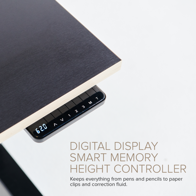 Үлкен және қалың мүше