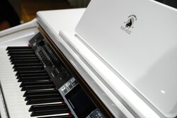 Цахилгаан төгөлдөр хуур M-600