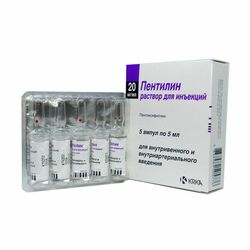 Пентилин т/уусм 20мг/мл N5