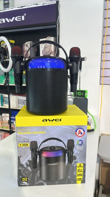 Karaoke speaker