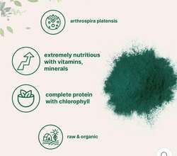 Microingredients Spirulina