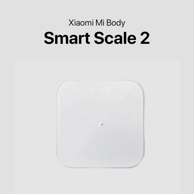 scale