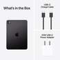 iPad Pro M4 chip 11'' Wifi 256GB Space Black with Standard Glass