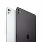 iPad Pro M4 chip 11'' Wifi 256GB Space Black with Standard Glass