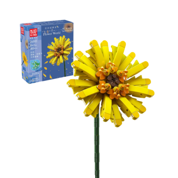 Flower - Barberton Daisy - 24003