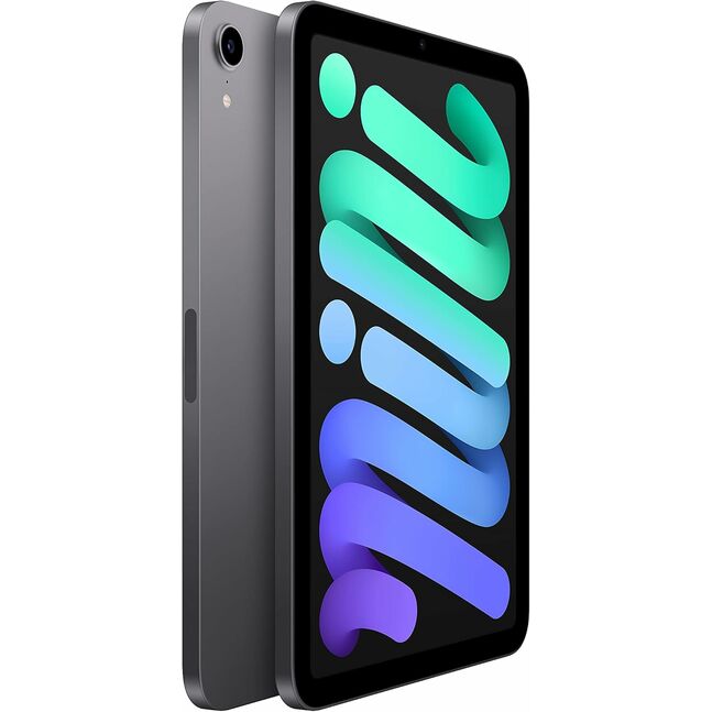 Apple iPad Mini 8.3inch 6th Gen 256GB WiFi Space Gray MK7T3ZA/A	
