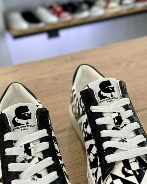 Karl lagerfeld 