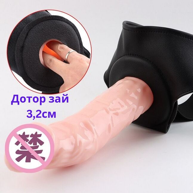 Өмсдөг эрхтэн