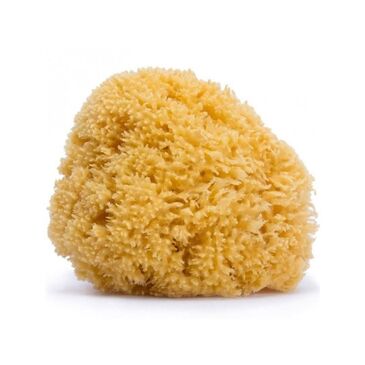 SUAVINEX LARGE NATURAL SPONGE