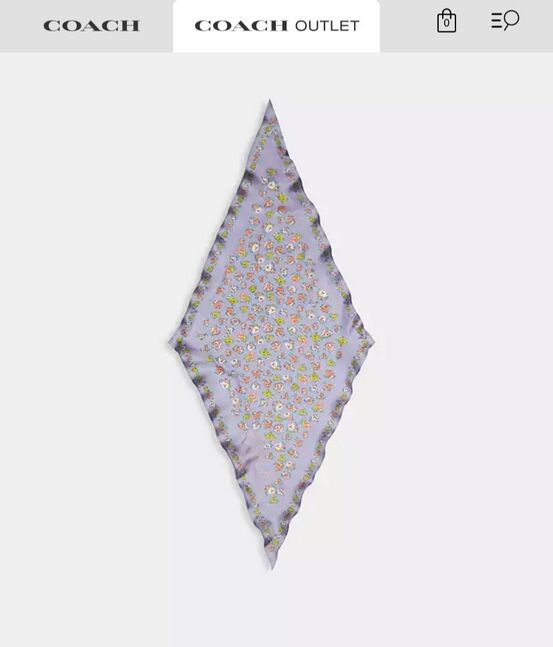 Coach skinny scarf