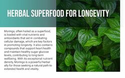 Moringa 