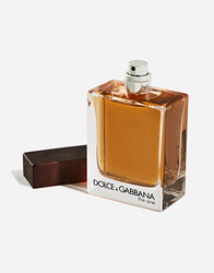 Dolce gabbana the one edt 100ml