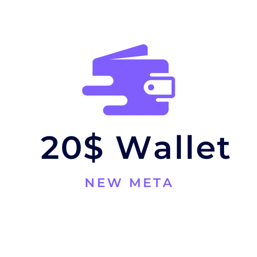 Steam 20$ wallet